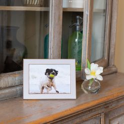 Addison Ross Ltd Light Grey Shagreen & Silver Frame