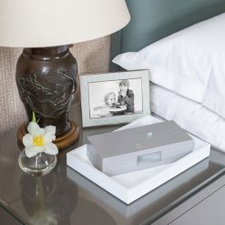 Addison Ross Ltd Frames Mist Ostrich & Silver Frame