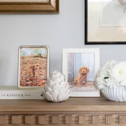 Addison Ross Ltd Domed Silver Plated Picture Frame Frames