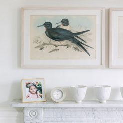 Addison Ross Ltd Chiffon & Gold Alarm Clock